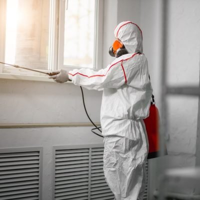 mold-remediation-professional